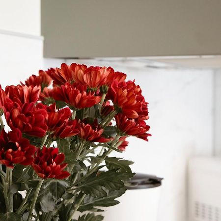 Apartman Anastasie Πράγα Εξωτερικό φωτογραφία