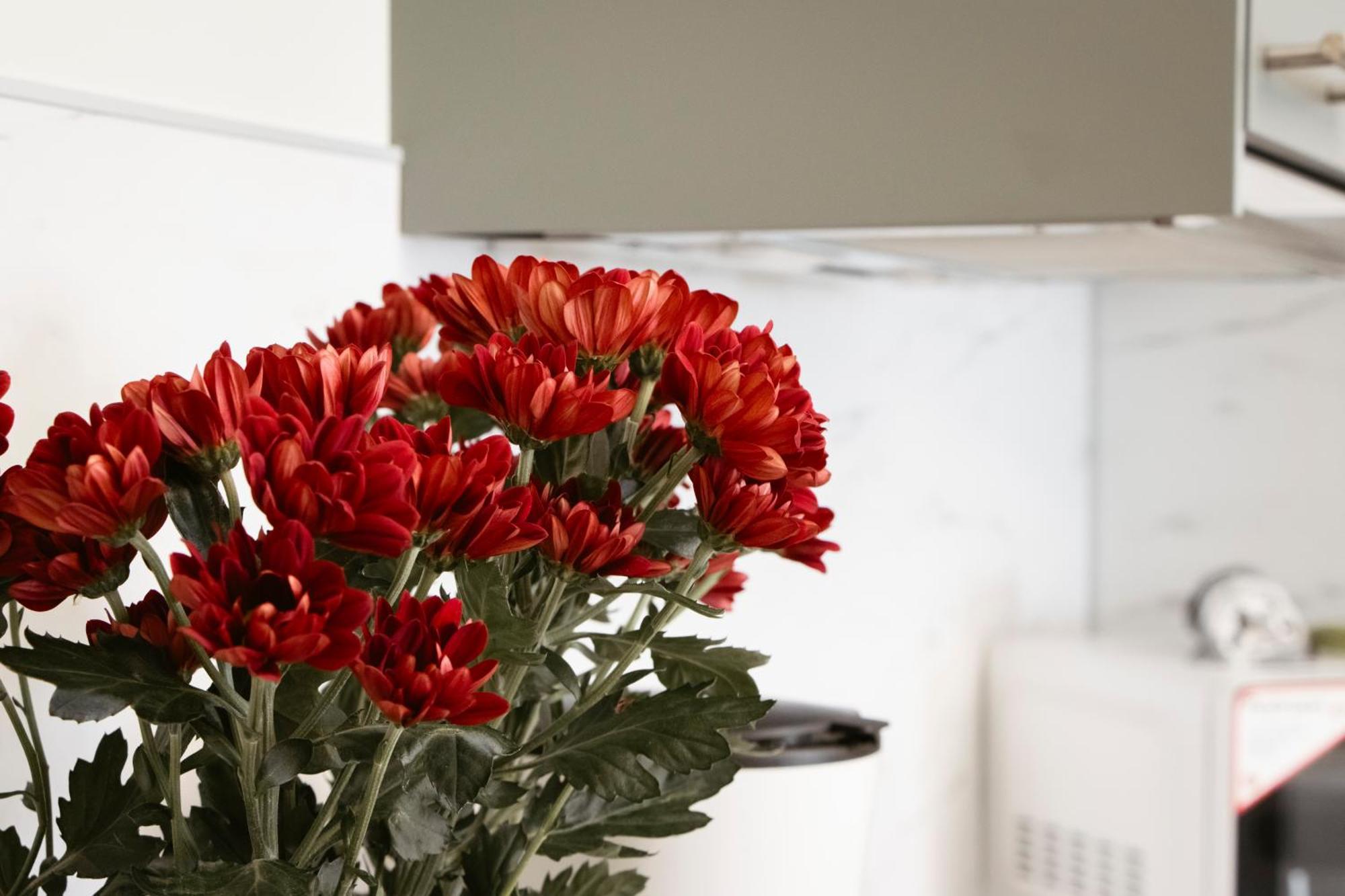 Apartman Anastasie Πράγα Εξωτερικό φωτογραφία